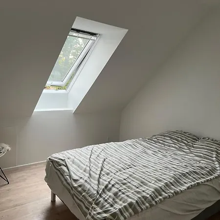 Gadekaer * Silkeborg